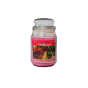 Starlytes Pomegranate Pear 18,0 oz