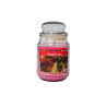 Starlytes Pomegranate and Pear 18,0 oz