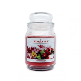 Starlytes Winter Holly Berries 18,0 oz