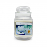 Starlytes White Lotus Flower 18,0 oz