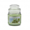Starlytes Tropical Jasmine 3,0 oz