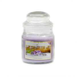 Starlytes Lavender Blossom 3,0 oz