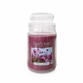 Starlytes Honey Blossom 16,0 oz