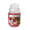 Starlytes Mediterranean Pomegranate and Pear 18,0 oz